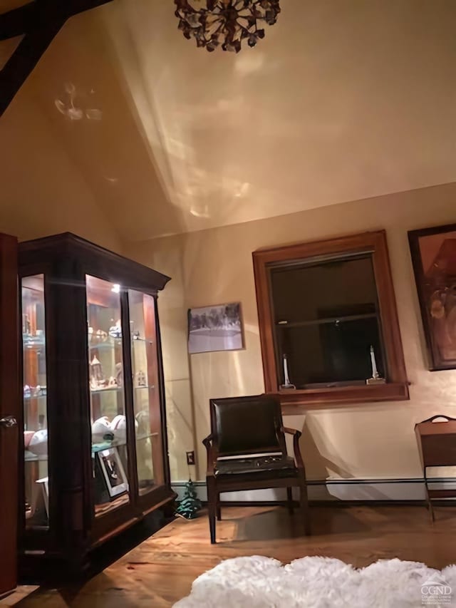 159 Toles Hollow Rd, Conesville, NY 12076 - sitting room featuring wood finished floors and lofted ceiling
