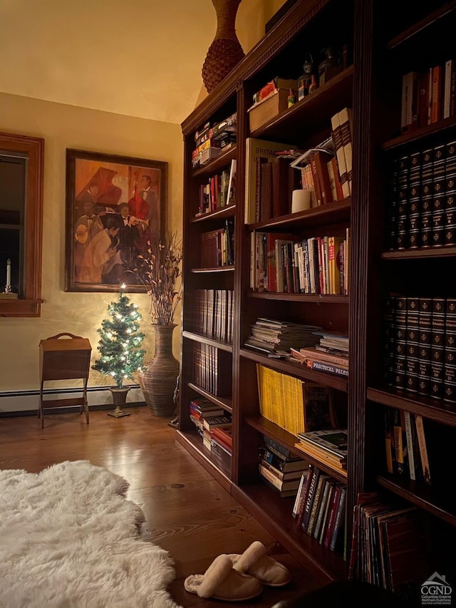 159 Toles Hollow Rd, Conesville, NY 12076 - living area featuring wood finished floors, baseboard heating, and bookshelves