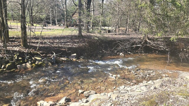 159 Toles Hollow Rd, Conesville, NY 12076 - view of nature