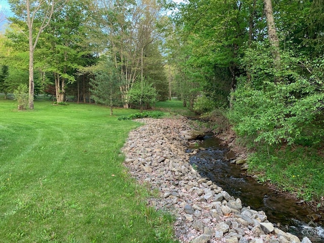 159 Toles Hollow Rd, Conesville, NY 12076 - view of green lawn
