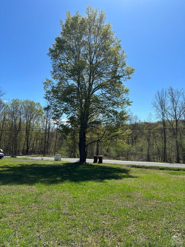 287 Shady Glen Rd, East Durham, NY 12423 - view of grassy yard with a wooded view