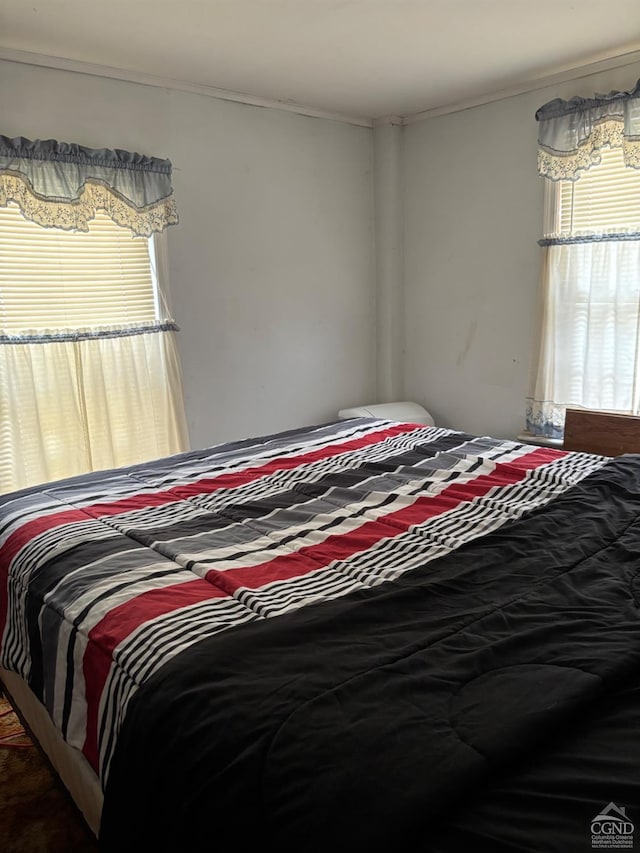287 Shady Glen Rd, East Durham, NY 12423 - bedroom featuring ornamental molding
