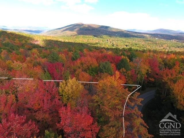 0 Tower Mountain Rd, Jewett, NY 12444 - photo 11