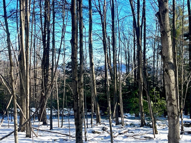 0 Tower Mountain Rd, Jewett, NY 12444 - photo 3