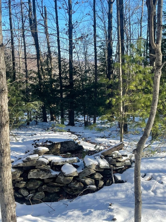 0 Tower Mountain Rd, Jewett, NY 12444 - photo 4