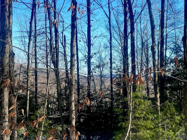 0 Tower Mountain Rd, Jewett, NY 12444 - photo 1