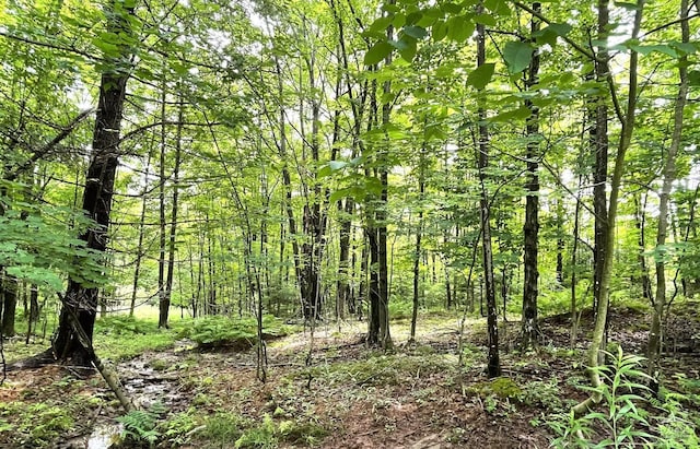 0 Tower Mountain Rd, Jewett, NY 12444 - photo 7