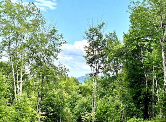 0 Tower Mountain Rd, Jewett, NY 12444 - photo 6