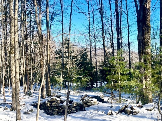 0 Tower Mountain Rd, Jewett, NY 12444 - photo 2