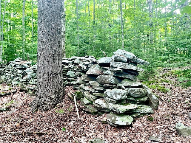 0 Tower Mountain Rd, Jewett, NY 12444 - photo 9