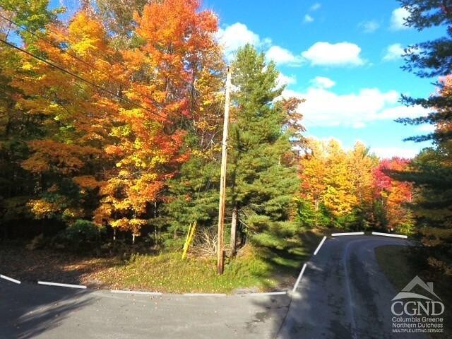 0 Tower Mountain Rd, Jewett, NY 12444 - photo 10