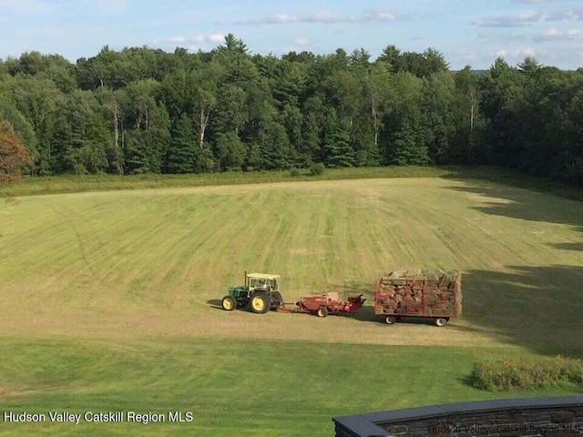 drone / aerial view featuring a rural view