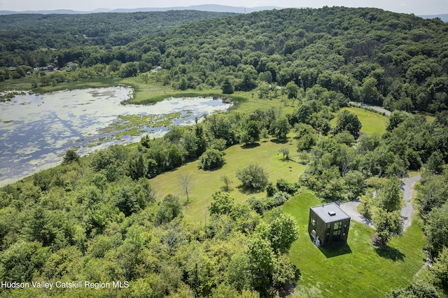 120 Pumpkin Hollow Rd N, Hillsdale, NY 12529 - photo 7