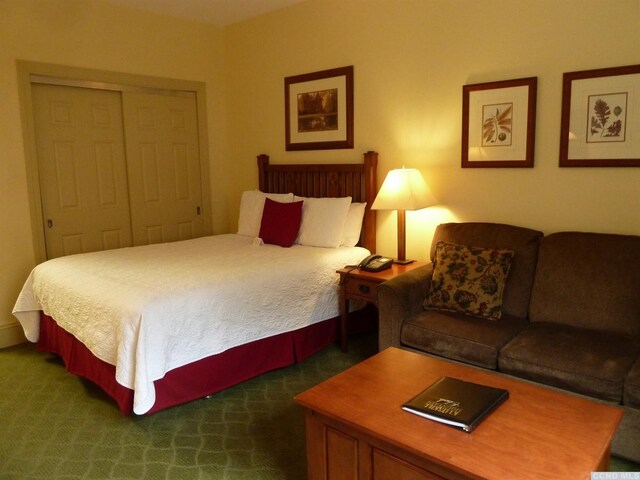 62 Liftside Dr Unit 221S4, Hunter, NY 12442