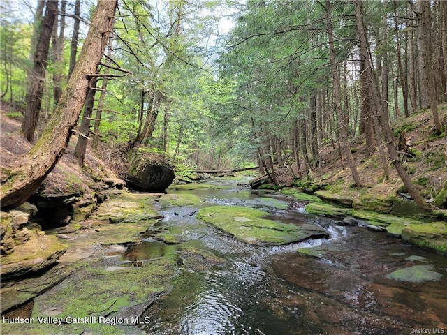 172 Eagles Ridge Way, Parksville NY, 12768 land for sale