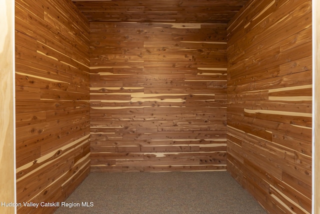 walk in closet featuring carpet flooring