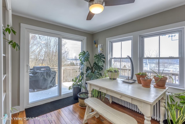 dining space featuring ceiling fan, crown molding, and hardwood / wood-style flooring