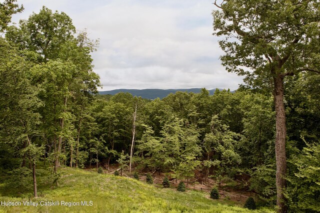49 Sky Top Rd, Copake, NY 12516