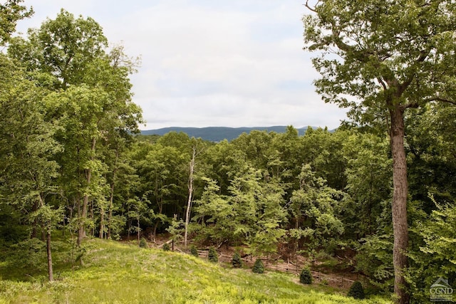 49 Sky Top Rd, Copake, NY 12516