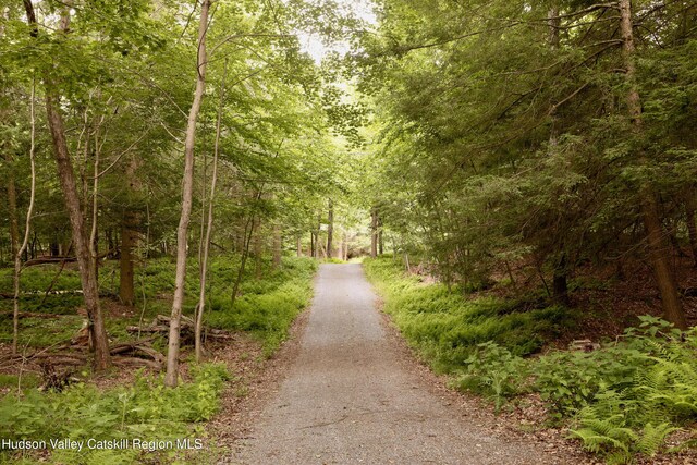 49 Sky Top Rd, Copake, NY 12516