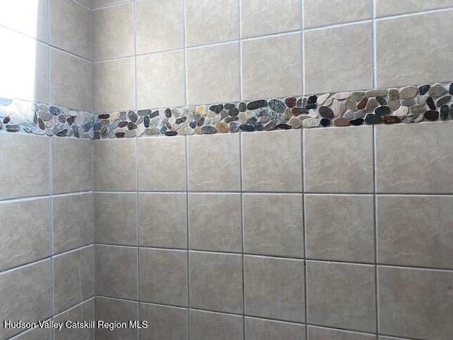 87 Dock St, Saugerties, NY 12477 - bathroom view