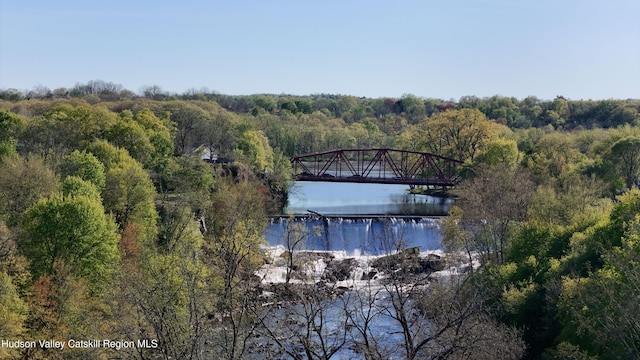 87 Dock St, Saugerties, NY 12477 - water view featuring a notable bridge and a heavily wooded area