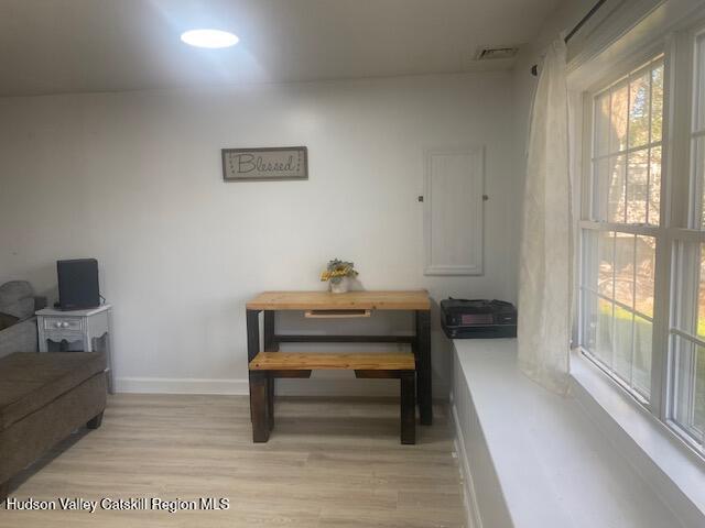 87 Dock St, Saugerties, NY 12477 - interior space with plenty of natural light, light wood-type flooring, and baseboards