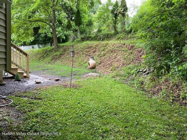 87 Dock St, Saugerties, NY 12477 - view of yard