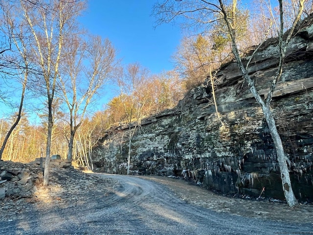 0LOT Fish Creek Rd, Saugerties, NY 12477 - photo 12
