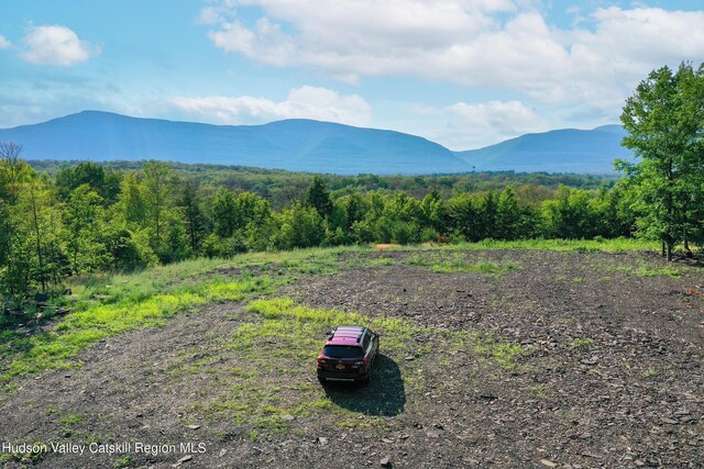 0LOT Fish Creek Rd, Saugerties, NY 12477 - photo 1