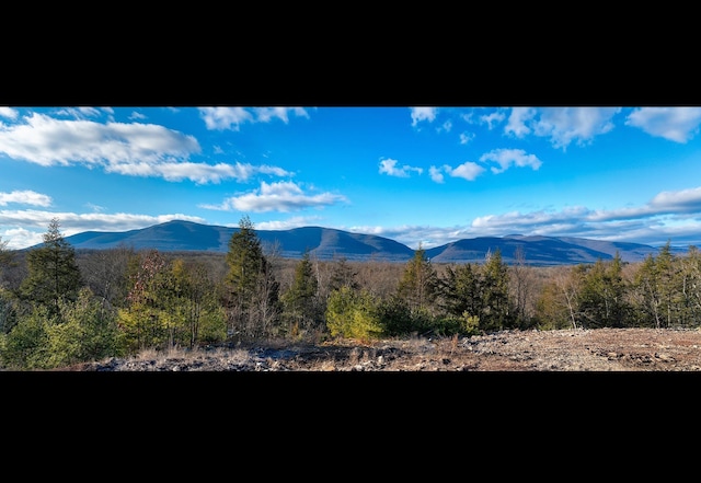 0LOT Fish Creek Rd, Saugerties, NY 12477 - photo 6