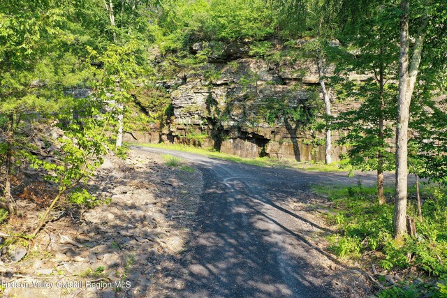 0LOT Fish Creek Rd, Saugerties, NY 12477 - photo 14