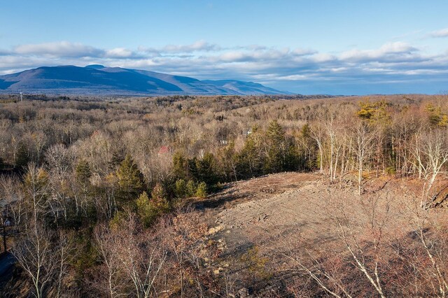 0LOT Fish Creek Rd, Saugerties, NY 12477 - photo 13