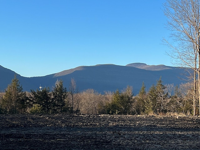 0LOT Fish Creek Rd, Saugerties, NY 12477 - photo 7