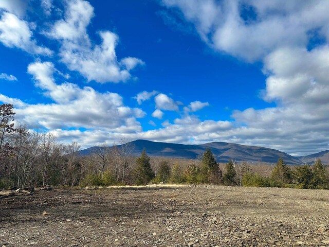0LOT Fish Creek Rd, Saugerties, NY 12477 - photo 16