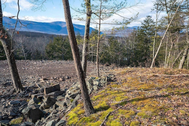 0LOT Fish Creek Rd, Saugerties, NY 12477 - photo 10