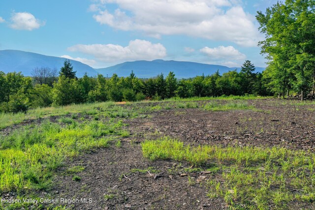 0LOT Fish Creek Rd, Saugerties, NY 12477 - photo 2