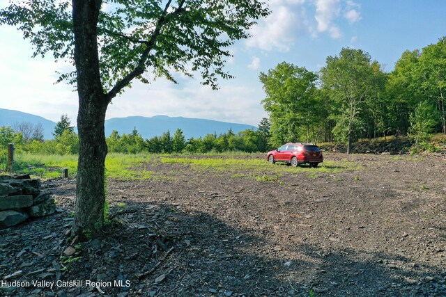 0LOT Fish Creek Rd, Saugerties, NY 12477 - photo 4