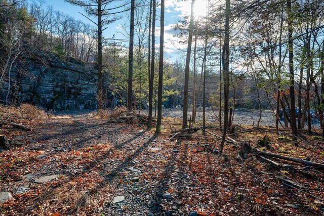 0LOT Fish Creek Rd, Saugerties, NY 12477 - photo 17