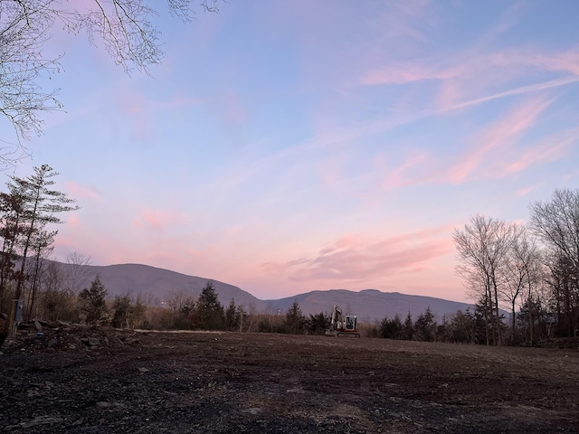 0LOT Fish Creek Rd, Saugerties, NY 12477 - photo 20