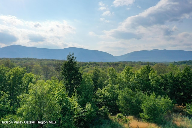 0LOT Fish Creek Rd, Saugerties, NY 12477 - photo 5