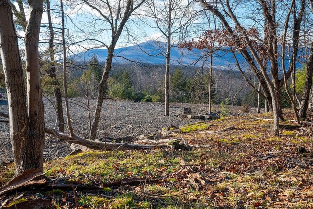 0LOT Fish Creek Rd, Saugerties, NY 12477 - photo 9