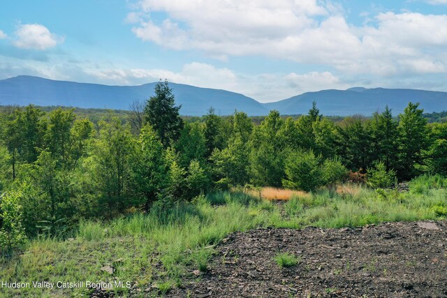 0LOT Fish Creek Rd, Saugerties, NY 12477 - photo 3