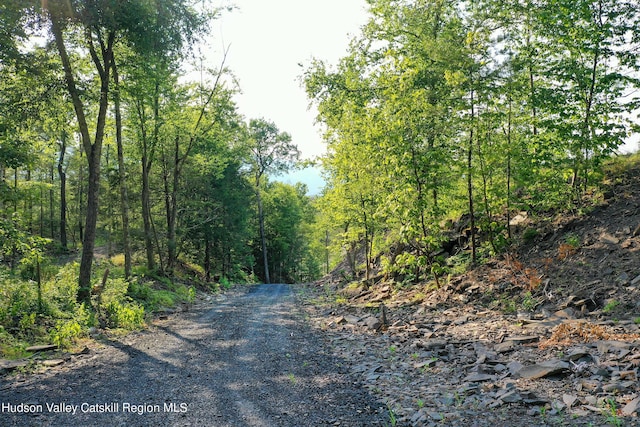 0LOT Fish Creek Rd, Saugerties, NY 12477 - photo 11