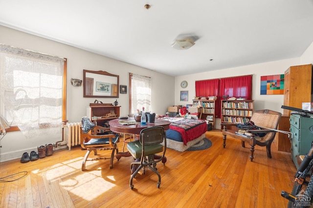 1 Hudson Ave, Chatham, NY 12037 - bedroom with wood-type flooring and radiator heating unit