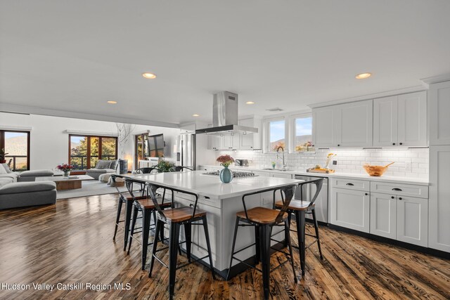 kitchen featuring white cabinetry, island range hood, plenty of natural light, and stainless steel dishwasher