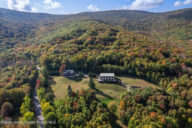 bird's eye view featuring a mountain view