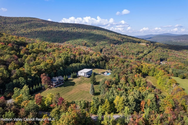 birds eye view of property featuring a mountain view