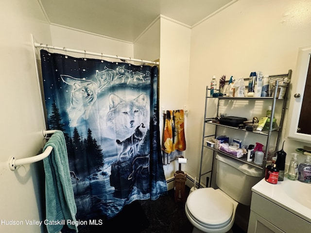 322 Plattekill Ardonia Rd, Wallkill, NY 12589 - bathroom with vanity, a shower with shower curtain, and toilet