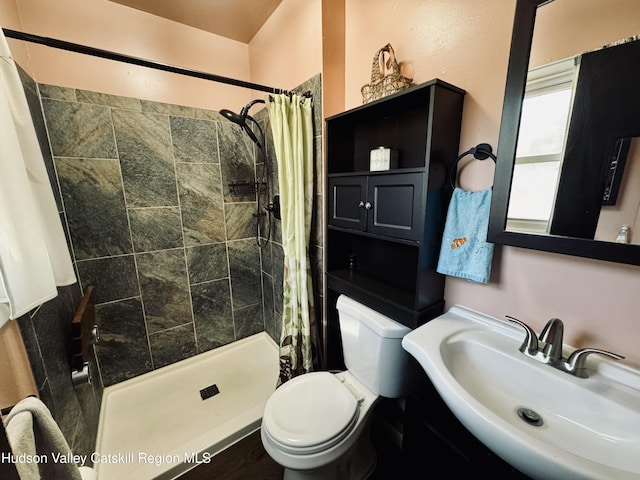 bathroom with toilet, a shower stall, and a sink